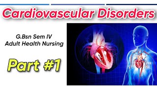 Explaining Anatomy amp Physiology of the Heart  Cardiovascular disorders amp its diagnosis  AHN Tutor [upl. by Crawford274]