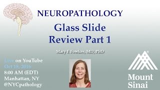 Neuropathology Slide Review Par 1 [upl. by Ellehcem]