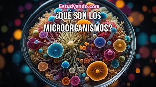 ¿Qué son los Microorganismos [upl. by Atoel]