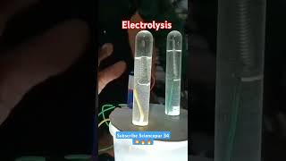 💥electrolysis experiment📚 electrolysisexperiment science chemistry salt sciencepur [upl. by Yrrag197]