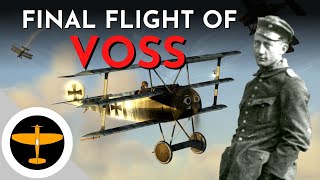 Death of Werner Voss  The epic last stand against 56 Squadron RFC  48 victories [upl. by Gussi]