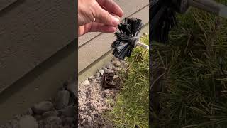 Dryer Vent Cleaning Issues [upl. by Aiet837]