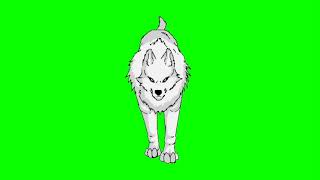 ✔️GREEN SCREEN EFFECTS White Wolf [upl. by Thrift37]