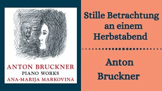 Anton Bruckner I Stille Betrachtung an einem Herbstabend WAB 123 I AnaMarija Markovina [upl. by Nosneh]