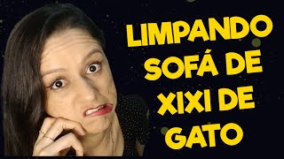 Como Limpar Xixi de Gato no Sofá Conta Pra Todo Mundo 🛋 [upl. by Zaria]