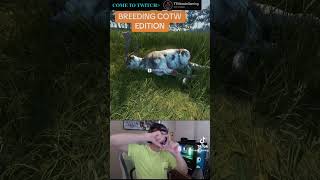 Dimes and rare furs… fypp cotwgameplay funnyclips fypシ゚viral cotw thehuntercallofthewild [upl. by Zennas839]