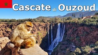 Le Cascate di Ouzoud  Viaggio in Marocco [upl. by Hite134]