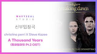 신부입장곡 Christina perri X Steve Kazee  A Thousand Years 트와일라잇 Pt 2 OST AR  MR 편집 ver  음원 편집 [upl. by Airdnassac470]