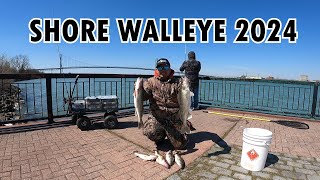 FIRST SHORE WALLEYE LIMIT OF 2024  DETROIT RIVER FISHING [upl. by Tigdirb]