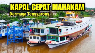 TIBA LEBIH AWAL KAPAL CEPAT SUNGAI MAHAKAM PELABUHAN TENGGARONG [upl. by Spatola403]