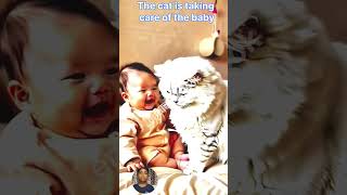 The cat is taking care of the baby❤️ trending cutebaby shorts viralbaby cute [upl. by Tneciv]