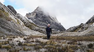 CARSTENSZ PYRAMID 4884 MDPL Gunung Jayawijaya TRAILER [upl. by Fairweather]