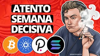 ✅TIENES QUE SABERLO😱Noticias Criptomonedas HOYBitcoin Ethereum Cardano Solana XRP DOT LINK XLM [upl. by Tiffi]