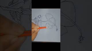 How to draw a Hibiscus flower  The art of hibiscus Rosa sinensis🌺🌺 [upl. by Maryn]