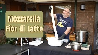 How to Make Real Mozzarella At Home [upl. by Sinnod]