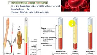 blood practical dr nageeb [upl. by Anoiek322]