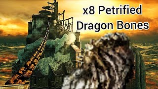 8 Petrified Dragon Bones Location in Brume TowerCrown of the Iron King DLC  Dark Souls 2 SOTFS [upl. by Karrie427]