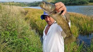 COMEÃ‡AMOS MAIS UMA TEMPORADA DE PESCA DAS BRUTAS A PRIMEIRA DEU BOM [upl. by Alehc]