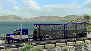 W900  ZEE MODS CAT3406 Full Ride  American Truck Simulator  Logitech G27 [upl. by Akerdna]