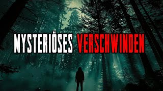 20 Fälle der Mysteriösesten Vermisstenfälle in der Wildnis [upl. by Enirod]