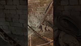 विशालकाय एनाकोंडा सांप 😱 Giant Anaconda Snake ytshorts [upl. by Seldan]