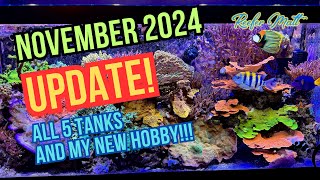 November 2024 Reef Tank Updates [upl. by Kaule179]