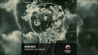 Shahab B  Open Your Mind Original Mix [upl. by Avik]