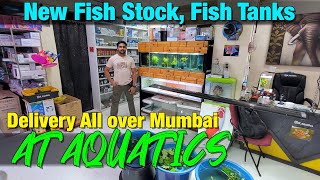 New Fish Stock at ATAQUATICS I Delivery Available All Over Mumbai [upl. by Clementis941]