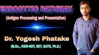 Endocytic Pathway Antigen processing and presentation Explained by Dr Yogesh [upl. by Nnyw]