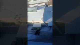 shortvideo rush snowfall winter shortsviral india [upl. by Oruhtra]