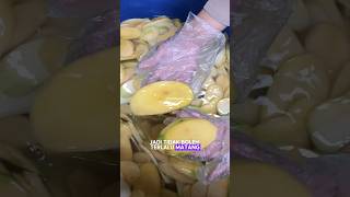 INTIPP‼️ PROSES BUAT KRIPIK MANGGA🥭‼️REMAJA SUKSES OMSET JUTAAN HARI HANYA DENGAN BISNIS ONLINE💸 [upl. by Lezley692]