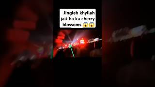 Leh kam khyllah jait ha ka sngi cherry blossoms😱😱😱 [upl. by Mohl]