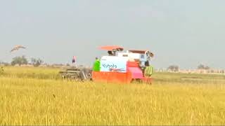 Farming Rice In Cambodia 5kubotatractor automobile [upl. by Stickney]