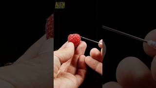 Fruits closeup compilation asmr macro satisfying [upl. by Ybhsa320]