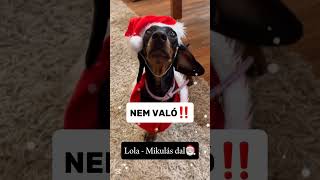 Lola mikulás dala🎅🏼 Saját szöveg♥️ Remélem tetszik😉 [upl. by Aettam]