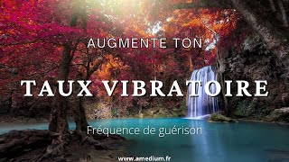 Musique pour augmenter son taux vibratoire [upl. by Ardekahs440]