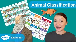 Animal Classification Teaching Ideas [upl. by Eanaj538]