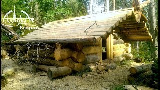 Off Grid Log Cabin Built by One Man Laying ExtraThick Logs Solo [upl. by Adimra]