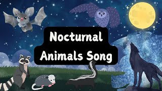 Nocturnal Animals for Kids  Learn About Night Animals [upl. by Ydnak681]