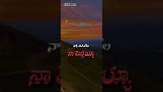 neevu na todu unnavayya song [upl. by Thant]