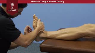 Fibularis Longus Muscle Test Palp Dr Vizniak Muscle Manual [upl. by Moffitt]