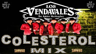 🎷LOS VENDAVALES 🎷EL COLESTEROL MIX🎷BY DJ MAGIC MIKE MTY🎷 [upl. by Athena]