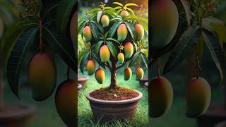 🥭Grow mango tree from cutting by using Cocacola garden gardening mango shorts [upl. by Erehpotsirhc852]