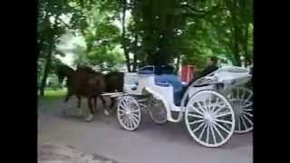 Mackinac Island Dog and Pony Club Is a Wonderful Tradition [upl. by Chapnick504]