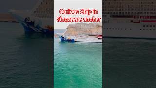 The Intriguing Ship of Singapore Port A Nautical Explorationquot [upl. by Arlyne]