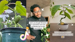 Planttok 🌱 Part 17 🌱 tiktok compilation [upl. by Eppesuig]