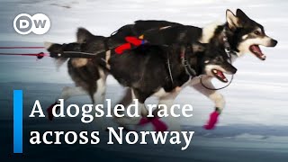 Europe’s toughest dogsled race  DW Documentary [upl. by Dorothi]