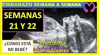 SEMANA 21 Y 22 DE EMBARAZO SEMANA A SEMANA POR GINECOLOGA DIANA ALVAREZ [upl. by Yatnwahs]