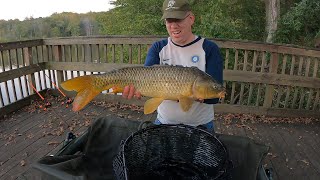 Fall Carp Fishing Family Picnic  Carp amp Catfishing Tips for bank fishing [upl. by Ianaj]