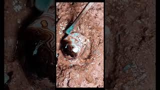 Digging crystal stone quartz gemstone crystal stone opal quartzite satisfying [upl. by Ridglee]